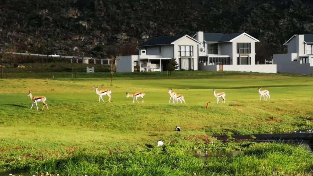Ceres Golf Club is a scenic golfing retreat surrounded by the picturesque landscapes of Ceres