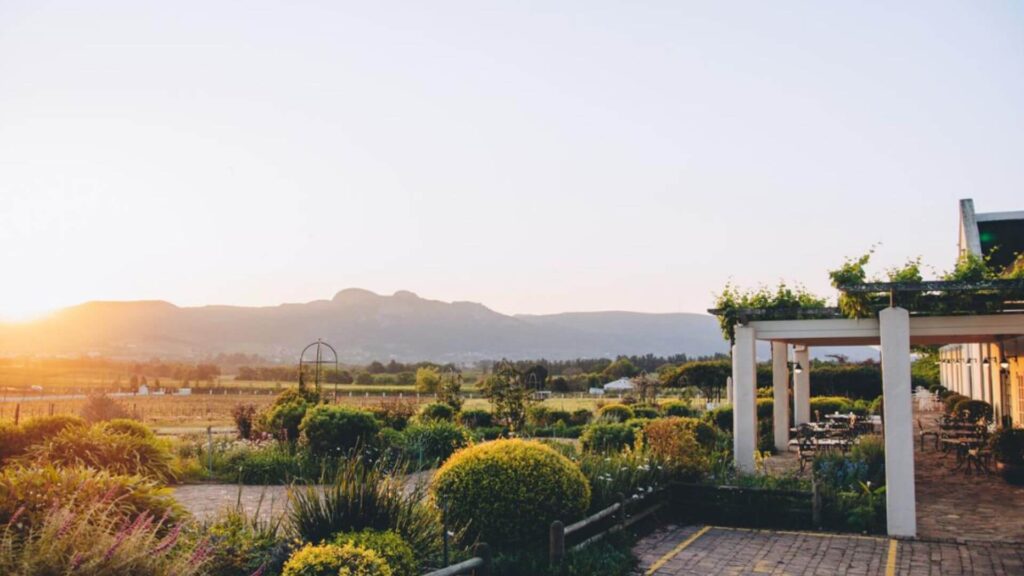 FABER at Avondale is a culinary gem, where farm-to-table dining meets innovative gastronomy, offering a sophisticated yet relaxed atmosphere amidst the picturesque Cape Winelands