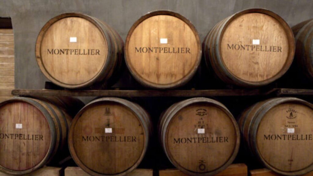 Montpellier Wine Estate in Tulbagh is a hidden gem nestled in the valley, where rolling vineyards and a historic Cape Dutch homestead create a tranquil setting for wine enthusiasts