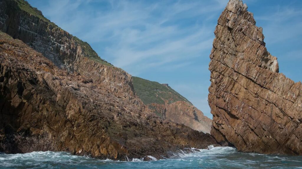 
Ocean Odyssey in Knysna is worth visiting for its captivating boat tours that offer a unique opportunity to explore the diverse marine life of the Garden Route