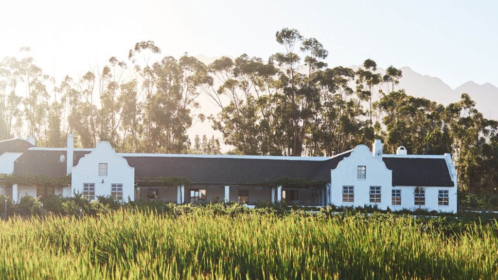 Rijks Wine Estate is a vinicultural masterpiece, where a commitment to sustainable farming and meticulous winemaking