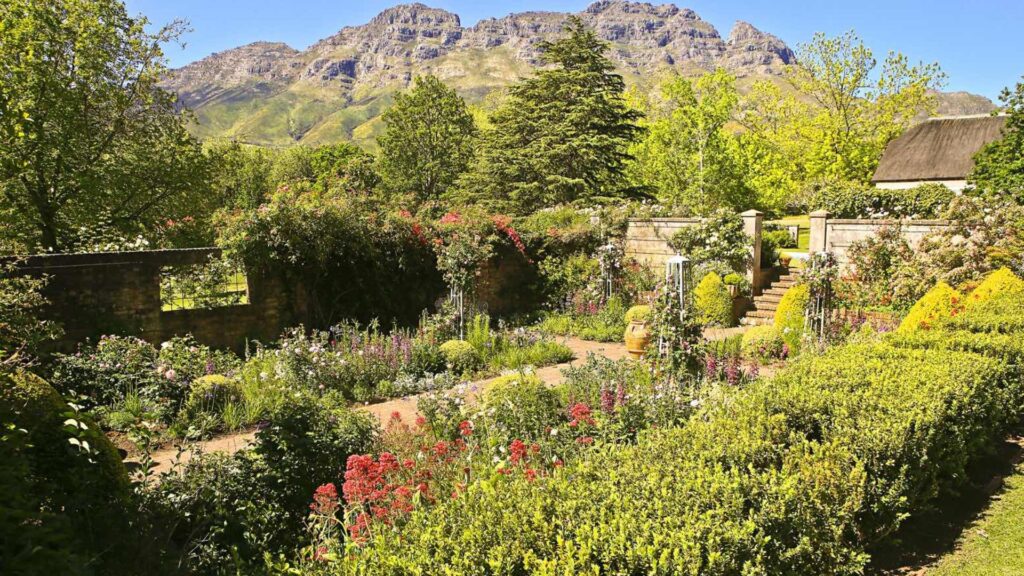 Rustenberg Wines in Stellenbosch is a historic estate where lush vineyards sprawl across the rolling hills
