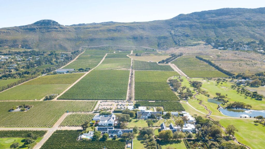 Steenberg Farm a comprehensive destination, the farm features an outstanding winery renowned for producing some of South Africa's finest Sauvignon Blanc and other celebrated varietals