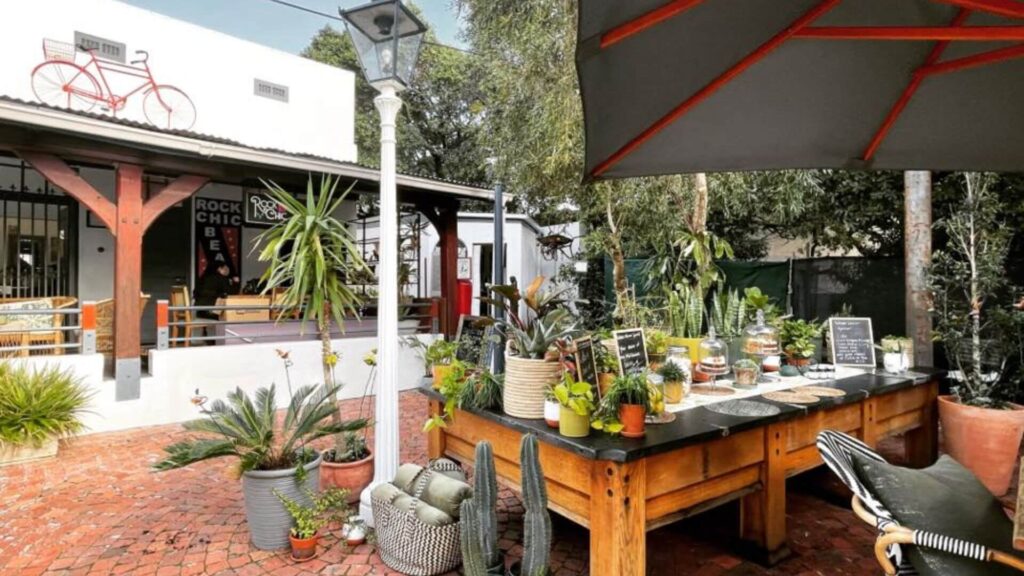 The Collective Hout Bay in Cape Town is a hidden gem where creativity, community, and culinary delights converge in an artsy and welcoming setting