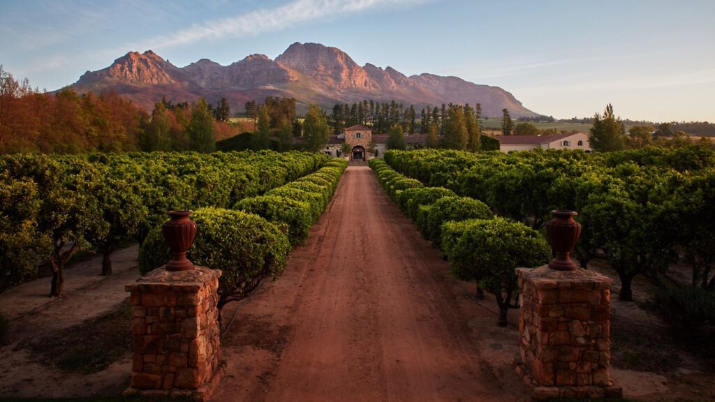 Waterford Estate in Stellenbosch is a wine lover's paradise, where the marriage of Old World charm and modern viticulture unfolds amidst picturesque vineyards