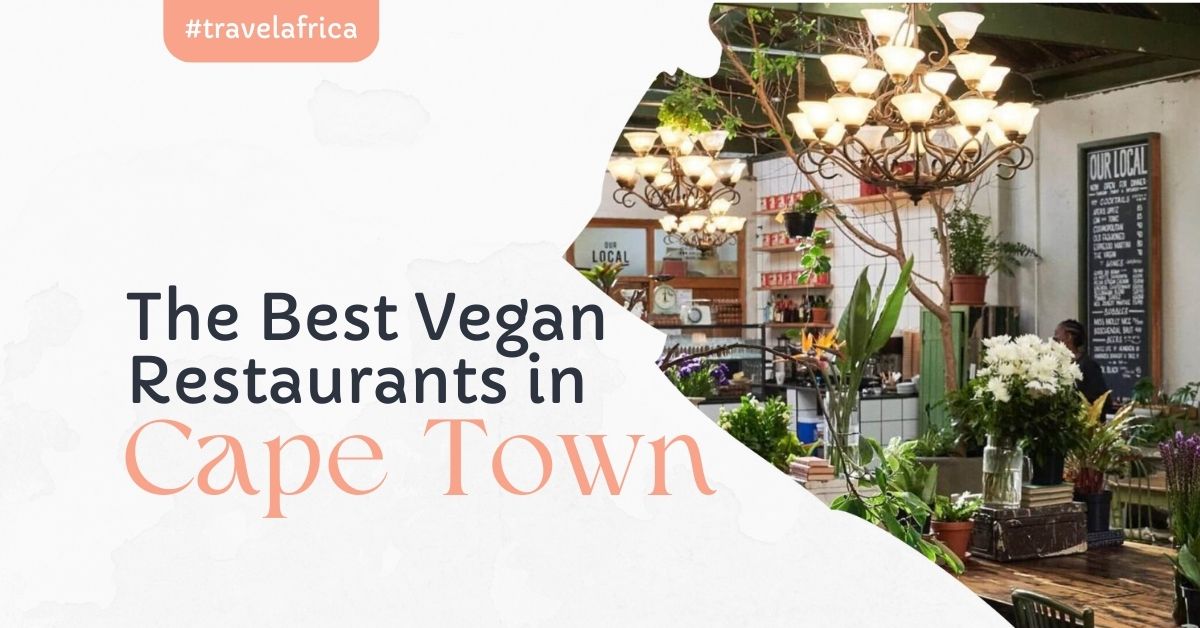 best vegan restaurants in cape town
