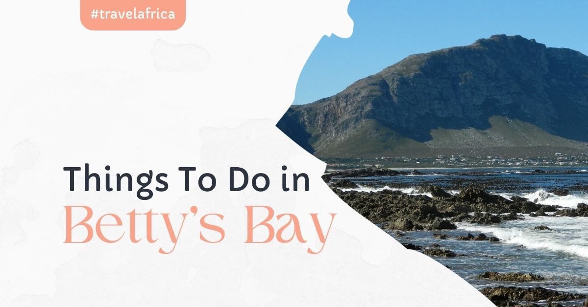 things to do in bettys bay