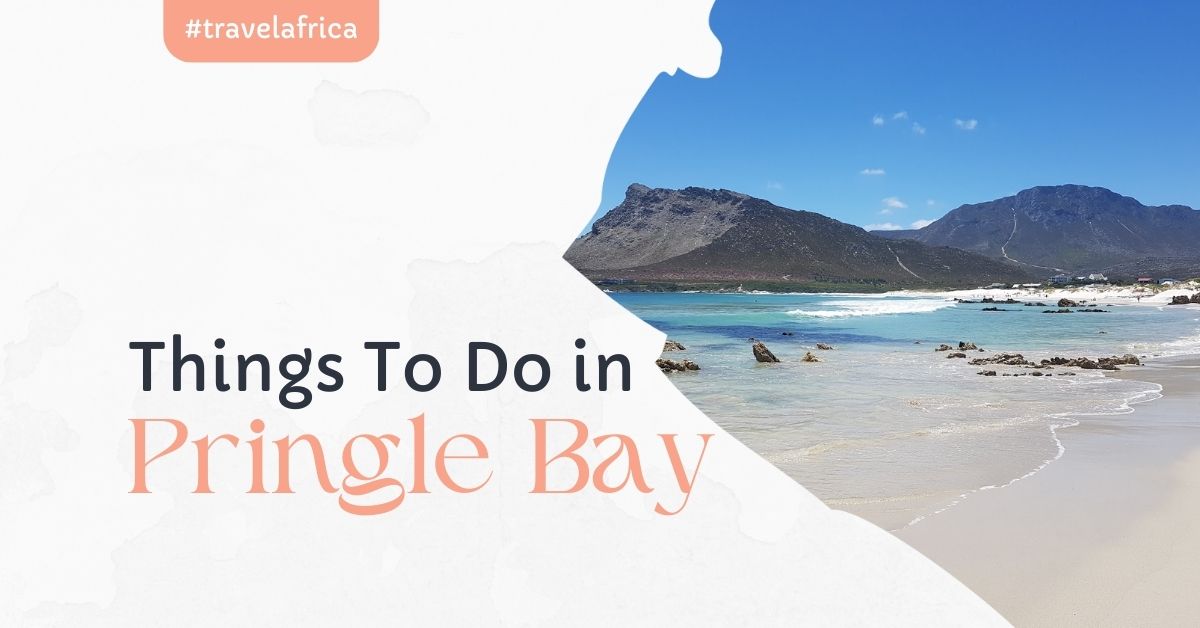 things to do in pringle bay