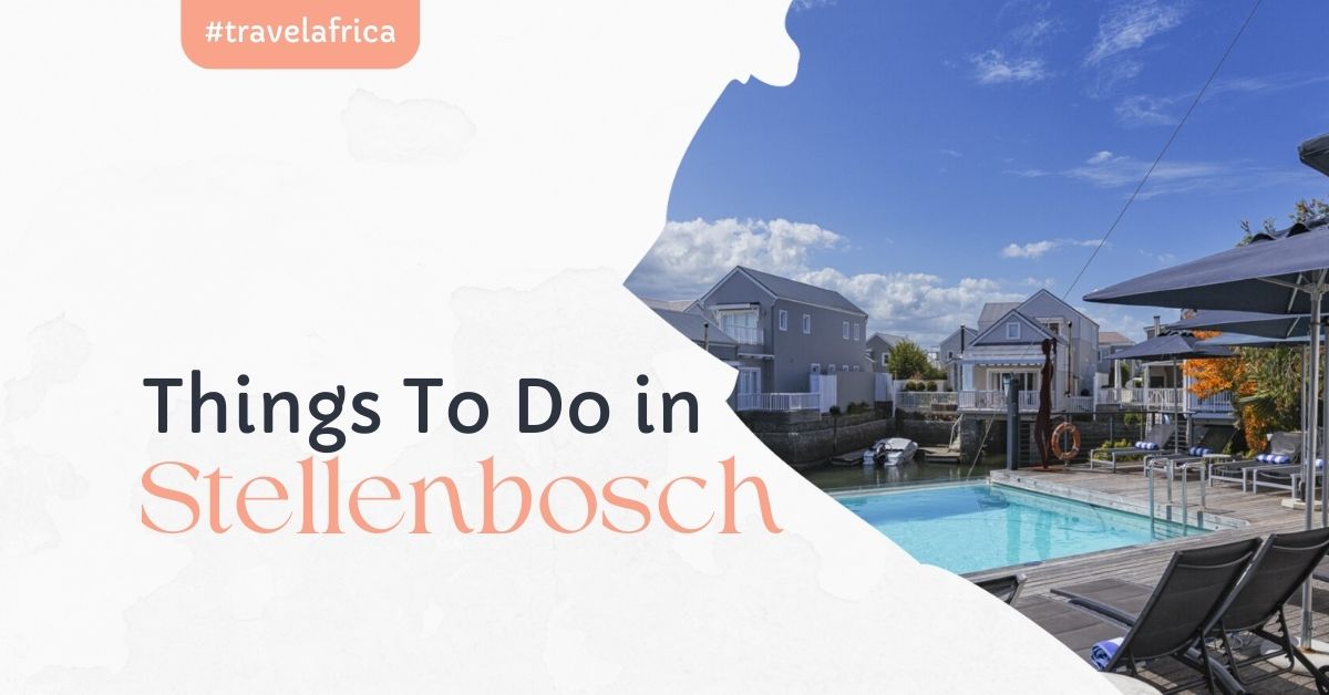 things to do in Stellenbosch